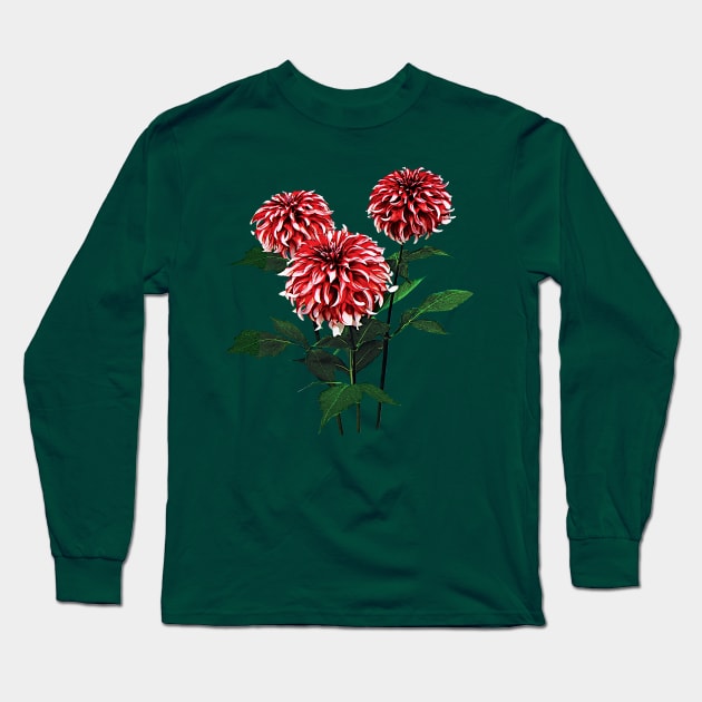 Dahlia Santa Claus Long Sleeve T-Shirt by SusanSavad